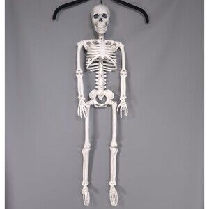 36" Halloween Skeleton Decor 3FT Full Body Stayable Movable Joints Posable